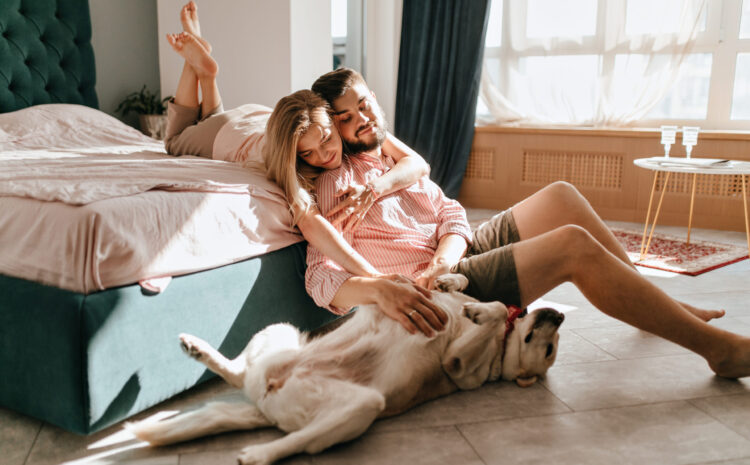  Protege tu Hogar Beneficios de un Seguro de Vivienda y Consejos para Contratarlo